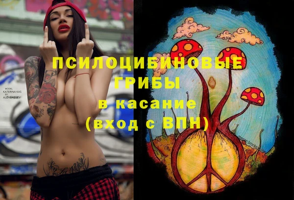стаф Алзамай
