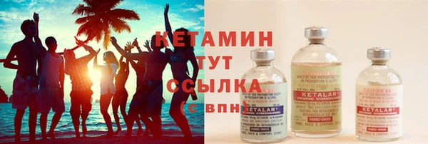 стаф Алзамай