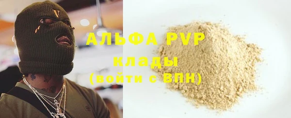 стаф Алзамай