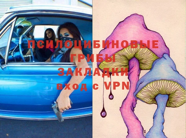 хмурый Алексеевка