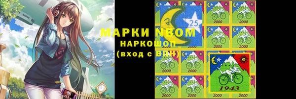 стаф Алзамай