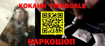 индика Кандалакша