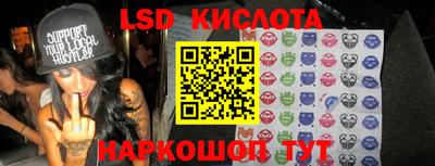 индика Кандалакша