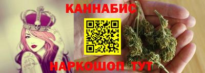 индика Кандалакша