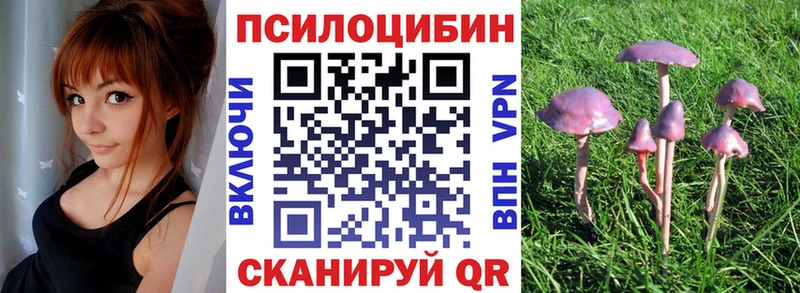 omg ТОР  Конаково  Псилоцибиновые грибы Psilocybine cubensis 